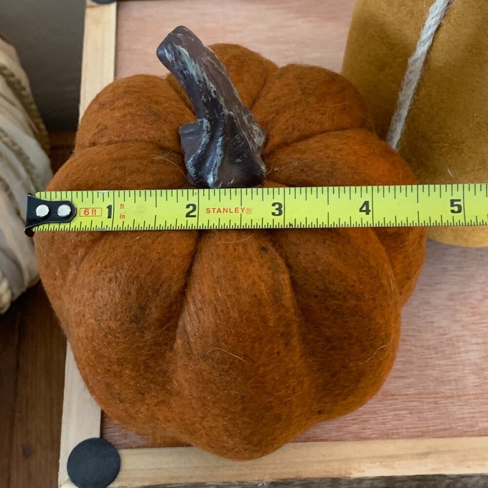Fall/Thanksgiving Rustic Pumpkin Decor - Picture 4 of 8
